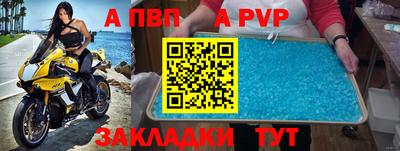 прущие крисы Кингисепп