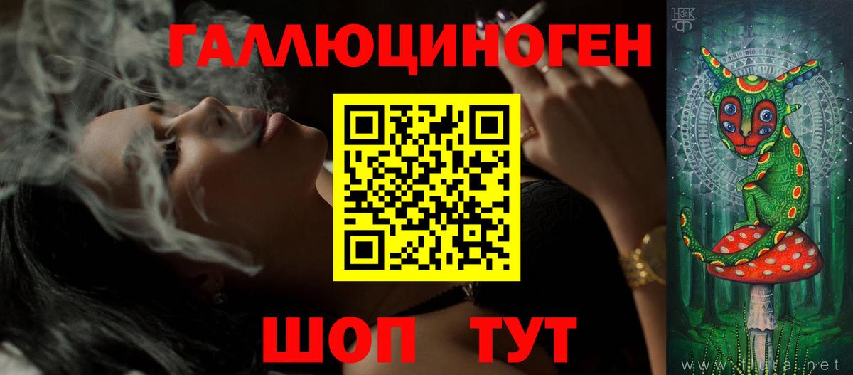 Галлюциногенные грибы Psilocybine cubensis Котельники