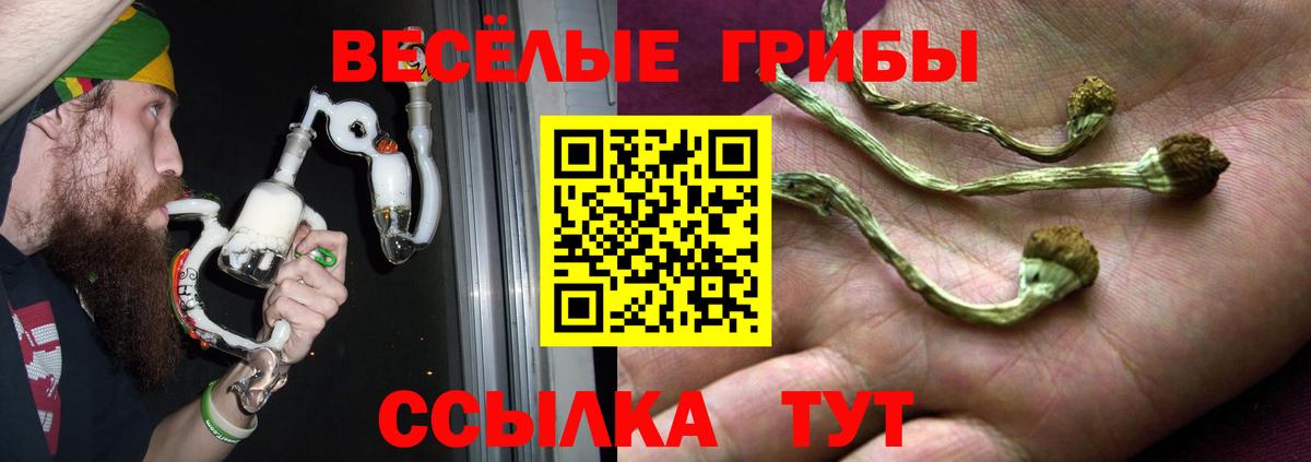 Псилоцибиновые грибы Cubensis  Вход с VPN  цена наркотик  Псилоцибиновые грибы мухоморы  Котельники 